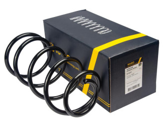 Пружина передня RAISO SF180TP