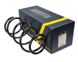 Пружина передня RAISO SF188TP