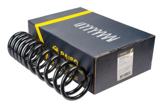 Пружина задня RAISO SR181TP