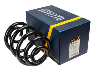 Пружина задня RAISO SR185TP