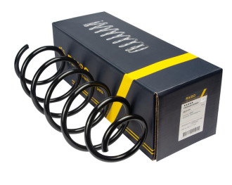 Пружина задня RAISO SR191TP