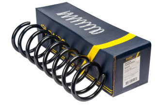 Пружина задня RAISO SR193TP