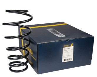 Пружина задня RAISO SR223TP