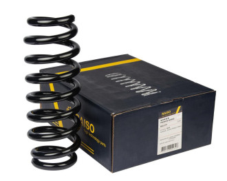 Пружина задня RAISO SR231TP